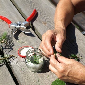Kräuterwanderung Bild TVB Seeboden